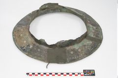 Foto von Bronzebreitrandschale (NHMW-PRAE-025899)
